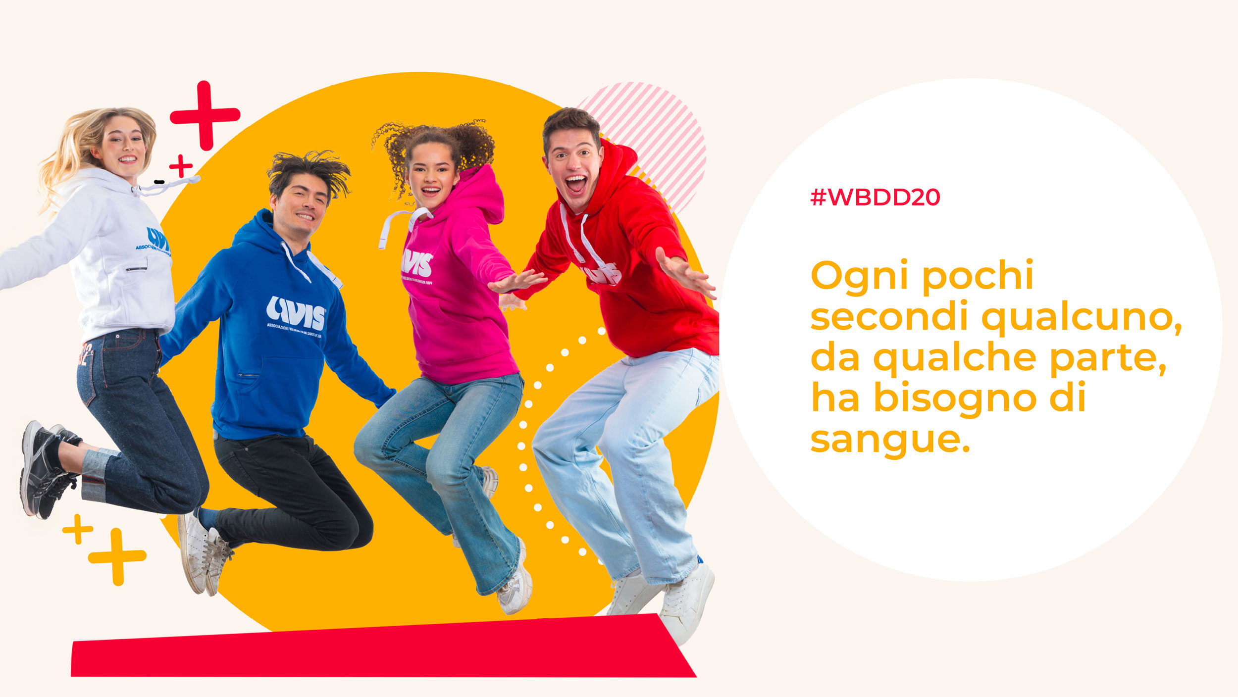 avis-provinciale-novara-homepage-manifesto